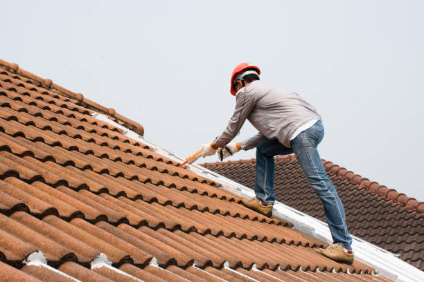 Best Roof Maintenance  in Dumbarton, VA