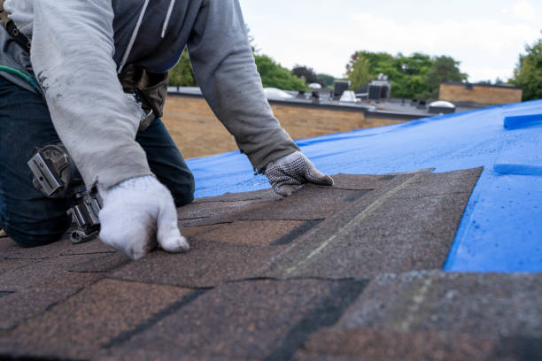 Best Roof Moss and Algae Removal  in Dumbarton, VA